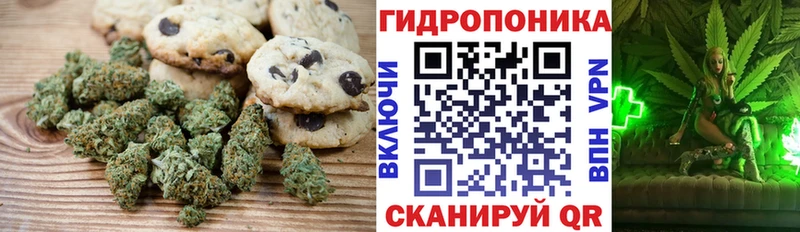 Canna-Cookies конопля  наркотики  Кызыл 