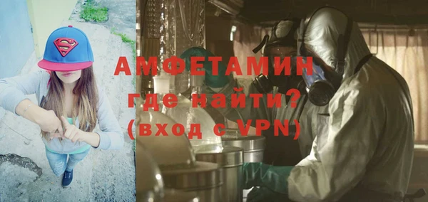 дмт Бородино