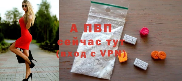дмт Бородино