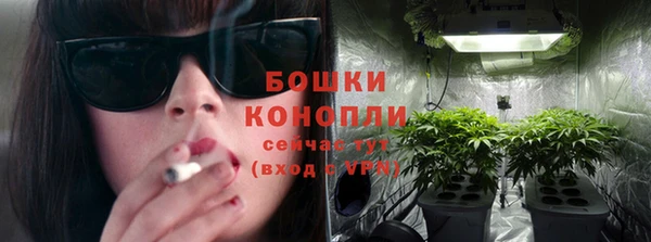 дмт Бородино