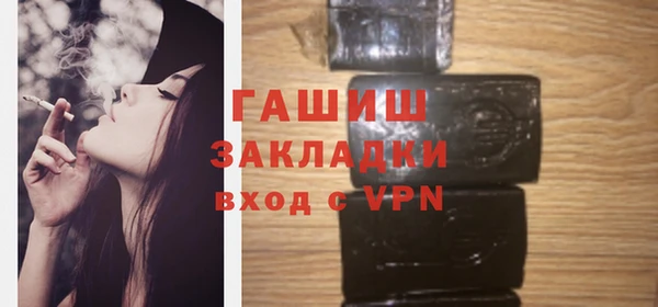дмт Бородино