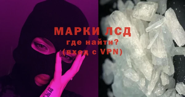 PSILOCYBIN Богданович
