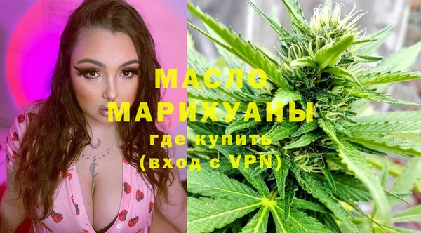 дмт Бородино