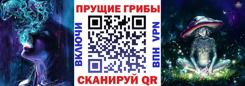 Псилоцибиновые грибы мицелий  где купить   Кызыл 